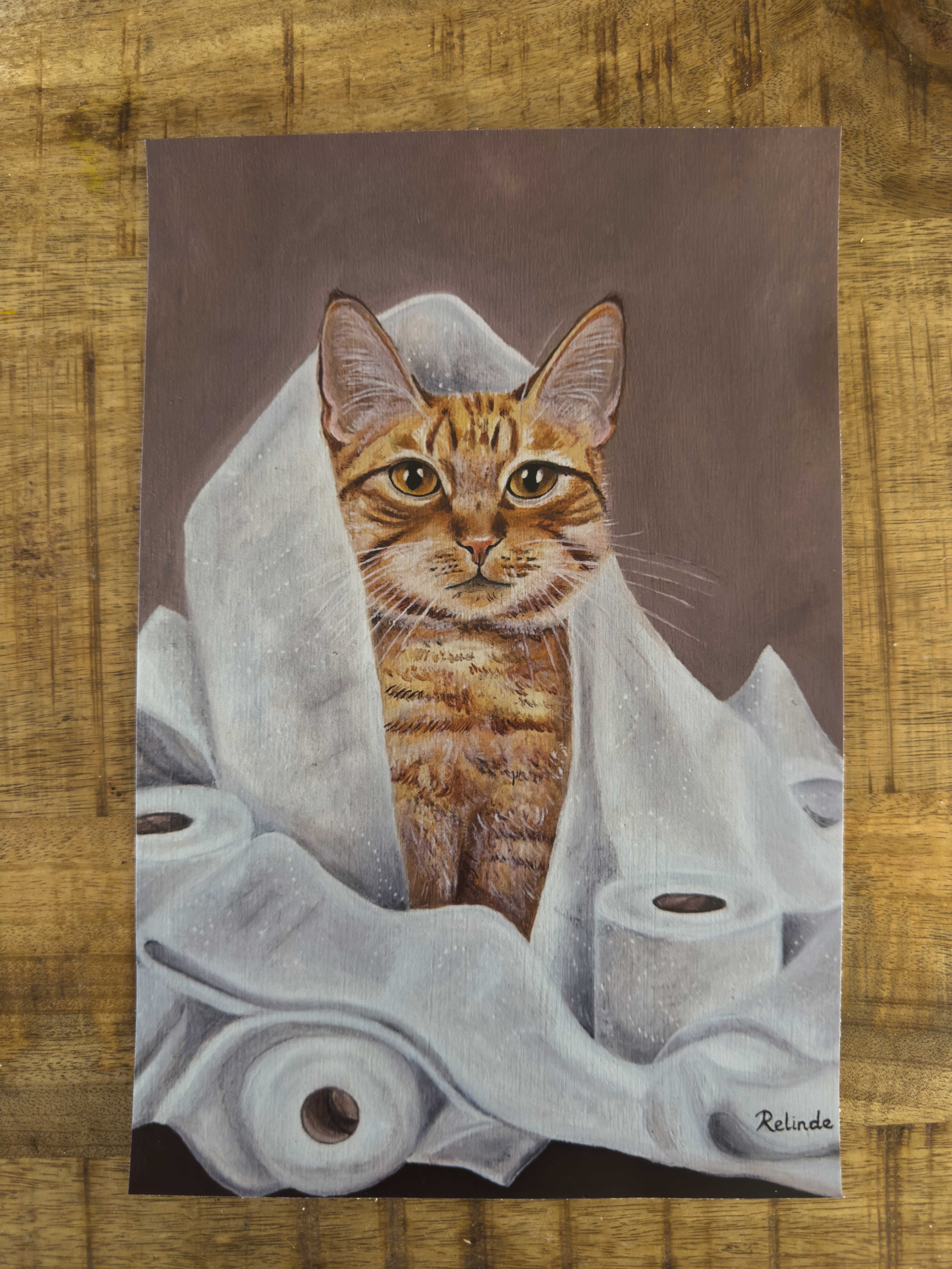 Cozido - The red cat with the toilet paper - Image 2