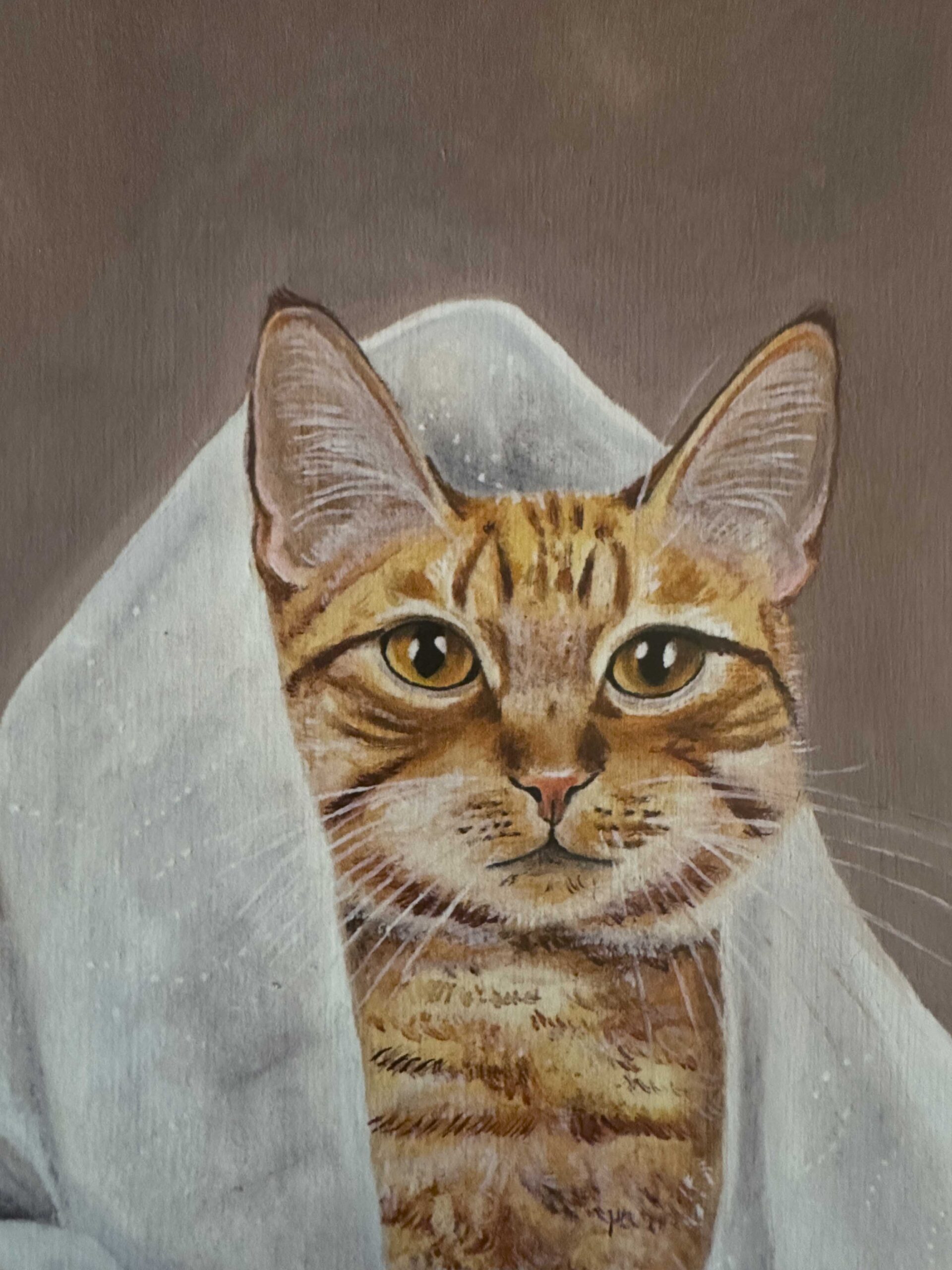 Cozido - The red cat with the toilet paper - Image 3